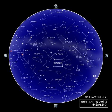 11月22日什麼星座|11月22日出生的星座